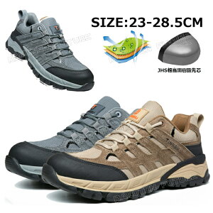 y300~N[|zʋC SC ʋCQ SC   Xj[J[Y Xj[J[ SC  [Jbg Y fB[X 23.5 SC  Y c  ƌC 