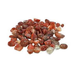 yԌDEAL|CgobN15z p[Xg[  bhmE VR K[fjO K[f Ԓd  ʂ  Ϗܗp Xg[ ANZT[ A  O 