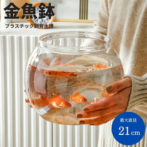 yԌDEAL|CgobN15z  ی^ v  NA  vX`bN y CeA ANAE eE @\ R ċx Mы  AQUARIUM  
