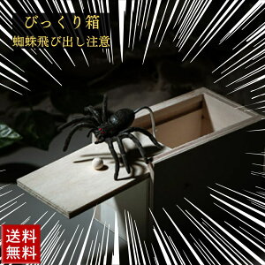 yԌDEAL|CgobN15z ߋ N т蔠 яo w  p[eB[ObY hbL ObY ǂ  p[eB[ XpC_[{bNX ~jؔ w ӂ