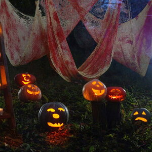 yԌDEAL|CgobN15z nEB  GȎ ܂݂̃K[[ z 70×190  G z[ A {iI a t   NX}Xpi | | a 