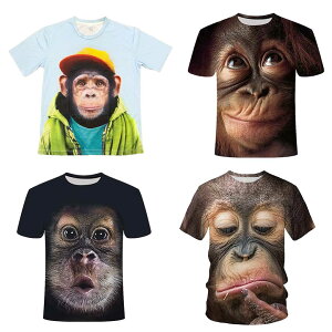 Y `pX^C Vc 4 3TCY M L XL Aj}vg  TVc jOVc  jOEFA g[jOEFA X|[cEFA hC Ci[ z 