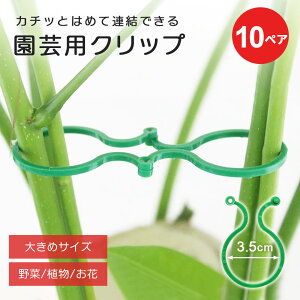 y݌ɌzyԌDEAL|CgobN15zyʗX֔z A  z_[ [Ver2[ TCY LTCY tbN Oz_[ 6cm 10yAZbg K[fjO K[f x  O