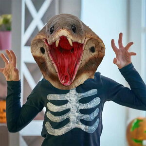 }XN Ru} Ru}XN փ}XN 蕨 Ԃ Xq wr  Xl[N Ru LORu TvCY A  ObY RXv ACe Vj l t[