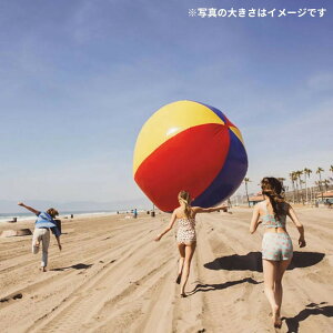 yԌDEAL|CgobN15z r[`{[ WCAg 150cm   オ Q[ D r[`X|[c C AEghA  p[eB[ v[ o[ }X|[c Jt
