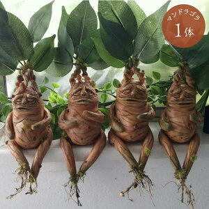 yԌDEAL|CgobN15z yyVfC[LO1ʊlz u }hS }hCN z[ A {iI a t   XJ[  | |  {[ a