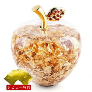 yԌDEAL|CgobN15zyr[T xS[h아v[gz ̃S ь Abv Apple S[h u  J^ S[f OXIuWF J^F K^ K