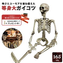 楽天市場】等身大 骸骨の通販