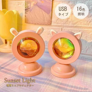 yԌDEAL|CgobN15z y݌Ɍz vWFN^[ ~j 16F L Cg TZbgCg lR~~ LED USB Rt p[eB[    Nu o[ fUC qJ
