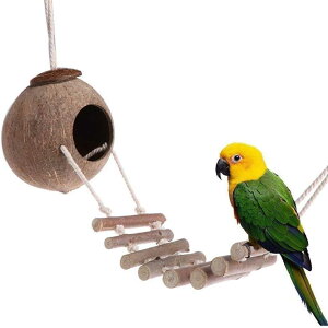 ybg pi ybgnEX RRibcVFnEX   ͂ B ̑ VRf  gJQ   CR nX^[  肷 K ঒ރnEX q̎ V