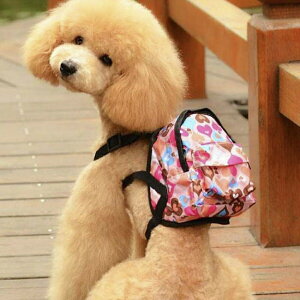 y݌ɌzyԌDEAL|CgobN15z  n[lX bN ^p n[g n[lXbN ybgp ~jTCY 񂿂p hbOt[h  ו obNpbN ^ 