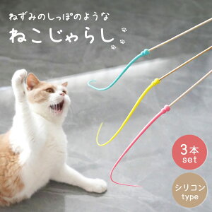 yr[eŐ[p[cGETzĂSI ybg pi L炵 lY~̐K [Ver2[ |XeBbN S3F 3Zbg VR S L̂ Lp L̃XgX L̊ߋ 