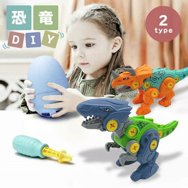 【期間限定DEALポイントバック30％】 【在庫限り】 玩具 恐竜 DIY ネジ トリケラトプスorヴェロキラプトル 模型 置物 バースデー おもちゃ 男の子 ど迫力Birthday ダイナソー ジュラ紀 ジュラシック 白亜紀 子供 プレゼント キッズ パーティー かわいい チャーミング