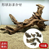 楽天市場】流木 セットの通販