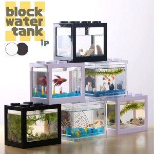 y݌ɌzyԌDEAL|CgobN15z  CeA ubN ubNorzCg ANAE R ċx Mы  AQUARIUM   _J 킢 IuW