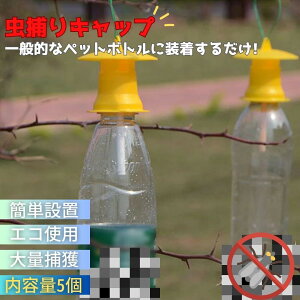 yԌDEAL|CgobN15z  F Lbv̂ ybg{gTCY 5 XgO ߂ ̂ F CG[ Qߊl ߒ{g Q΍pi  ֗ObY ȒP