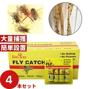 yԌDEAL|CgobN15zyʗX֔z 悯 nG [e[v 4Zbg XgO F  Qߊl ߒV[g Q΍pi  ʔS S ȒP