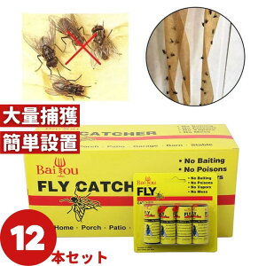 yԌDEAL|CgobN15z 悯 nG [e[v 12Zbg XgO F  Qߊl ߒV[g Q΍pi  ʔS S ȒPt Sgbv 