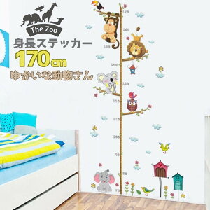 y݌ɌzyԌDEAL|CgobN15z gv EH[XebJ[   Aj} XebJ[Zbg 70`170cm V[ Vv   S qǂ g q 
