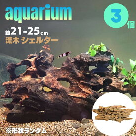 【期間限定DEALポイントバック15％】 アクアリウム 流木 ーVer3ー 穴あき小魚シェルター 3個セット 形状お任せタイプ 21～25cm 水槽撮影 テラリウム レイアウト用品 流れた木 水草 隠れ家 活着ベース 水槽 淡水水槽 爬虫類 両生類 熱帯魚 ペット用品 ステイホーム