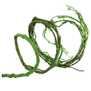 yԌDEAL|CgobN15z eE Ãc^ ঒ 125cm IuWF u CeA  WO JG JI chameleon wr T\ COAi gJQ J  Ru