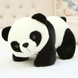 ʂ p_ pp_ 70cm   NbV   Aj} 킢 `[~O  R~J a NX}X Mtg TvCY Fl Ƒ p[eB[ l 