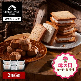 【母の日 早特P10倍★~4/30 23:59】母の日 お菓子 ギフト 詰め合わせ ｜ CHEESE CAVERY TOKYO ギフトセット SSサイズ 【0】 宅急便発送 Agift
