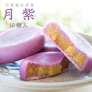 (ނ炳) 10b܂Ƌʈ j yY  XC[c i}֔j proper