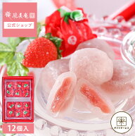 お中元 お菓子 ギフト 個包装 2026 わらび餅 ｜ 博多風美庵 博多あまおうぷるるん 12個入 【0】 宅急便発…