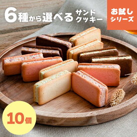 【メール便発送】6種から選べるサンドクッキー お試しシリーズ 10個入｜大容量お試しセット風美庵お試しシリーズ 焼き菓子 洋菓子 お土産 個包装 東京 福岡 博多 北九州 門司港 送料無料 mailbin
