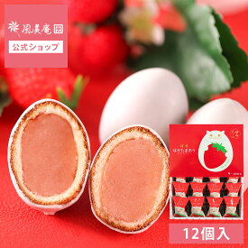 お菓子 手土産 個包装 おしゃれ かわいい お配り 誕生日 お礼 お祝い 職場 ケーキ ｜ 博多風美庵 博多はかたまおう 12個入 【0】 宅急便発送 proper
