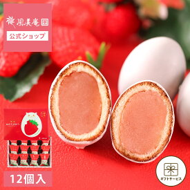 お中元 お菓子 ギフト 個包装 2026 ケーキ | 博多風美庵 博多はかたまおう 12個入 【0】 冷蔵 宅急便発送 proper