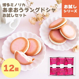 お菓子 送料無料 お試し ラングドシャ ｜ 博多ミノリカ あまおうミルクラングドシャ お試しセット12枚入 【5】 メール便 mailbin