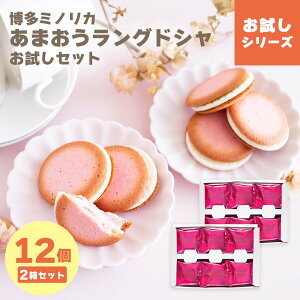 ★2箱セット★ 博多ミノリカ あまおうミルクラングドシャお試し12枚入 メール便 宅急便発送 mailbin