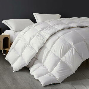 SAPHREAS 羽毛布団 羽毛掛け布団 ホワイトダウン 羽毛肌掛け布団 ダウンケット 春や秋に最適 オールシーズン/寒冬対応 抗菌防臭加工 防ダニ Downパワー400 フェザー90% サイズ:170*210cm 重量:約1.93k