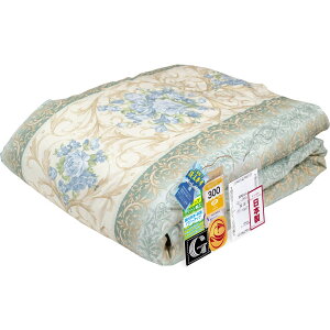 H |() Hѕzc VOyR21131 u[FzHї300g zCg_E80% _Ep[300dpȏ H3j[S[hxFi yʐn h_jH 