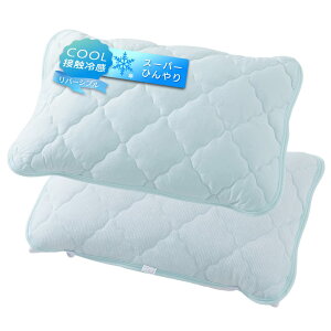 ACXvU ڐG⊴N[pbh 43×63cm Q-MAX0.461 Ȃ₩f×z ӂ蔧G o[Vu RۖhL ېOK X[p[Ђ ACXu[ LBCPP-4363-2P