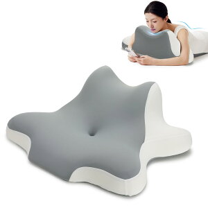 SIORA 低反発 背もたれ クッション ベッドの上 枕 まくら ランバーサポート 年寄りプレゼント 腰当てクッション 腰枕 読書用 テレビ腰枕 洗えるカバー PPZ-02