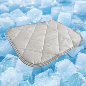 LEJUMP ⊴pbh pbh ڐG⊴ z St ⊴Jo[ 􂦂 ʋC I[V[YΉ T|[g  St VOTCYΉ (CgO[, 63*43cm)