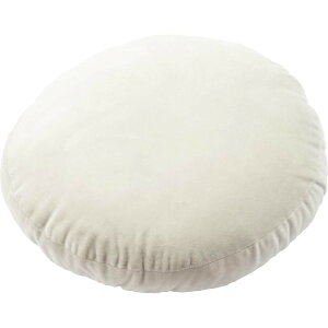 アイリスプラザ クッション 丸形 コンパクト 弾力性 もちもち ふわふわ なめらかなベロア調 40×40cm 枕 抱き枕 フロアクッション おうち時間 テレワーク ライトグレー