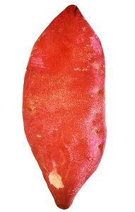 【dokidoki】サツマイモ クッション 抱き枕 ぬいぐるみ かわいい リアル 大きい 可愛い さつまいも 昼寝枕 添い寝枕 おもしろグッズ イベント パーティー グッズ ハロウィン プレゼント 可愛