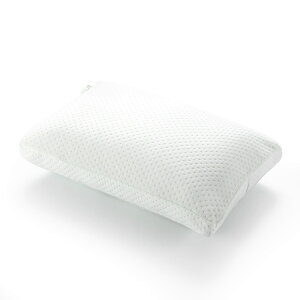 ZINUS ᔽ fAs[  ᔽ Dual Pillow zCg 40 × 60 × 15cm