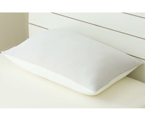 jg NN[ ʎg  O[ Ђ+ڐG⊴ WTCY40×60Z` y܂̍z y܂̂z炩