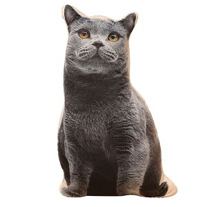 TOMMYFIELD |jA ʂ ObY ʂ A  ӂӂ 3D (LC) [sAi]