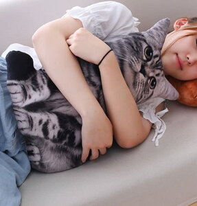 ydokidokizL NbV  ʂ AJV[gwA[ Tog ObY v[g  G CX^ `g