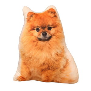 |jAʂ  傫 { lR Ck  킢 A 3D    NbV Dw G _炩 3D  YQ 50cm*0.4kg n 3D q L