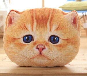 ydokidokizL qL  NbV  ʂ g `g AV[ Tog ObY v[g  G CX^