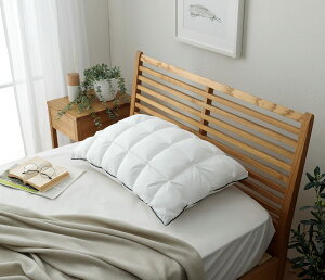 CPqR Q  s[ _ NEfBA AC{[ 43×63cm Jo[t \ ӂӂ    I[V[Y 1195550013029