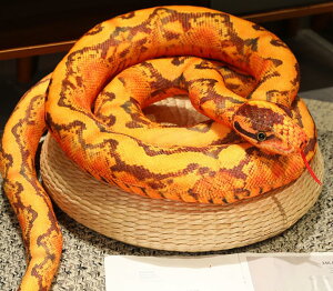 ydokidokizwr NbV  ʂ݁yIWz킢 A   Q ঒ hbL Cxg p[eB[ ObY nEB v[g  G CX^