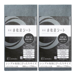 ԏYV[g 2 V[g V[g { Y sv zc̉ z hJr L wጸ  t[O